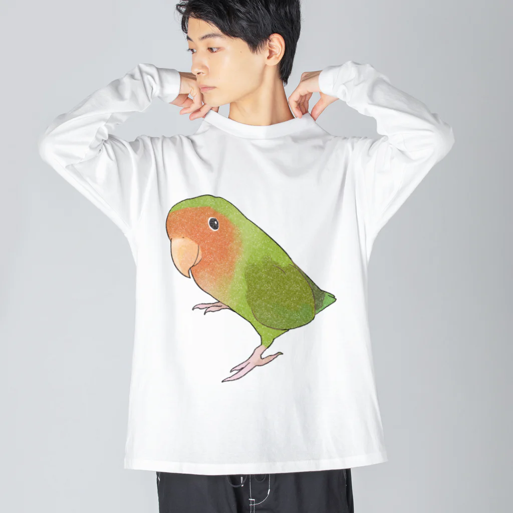 まめるりはことりの見つめるコザクラインコちゃん【まめるりはことり】 ビッグシルエットロングスリーブTシャツ