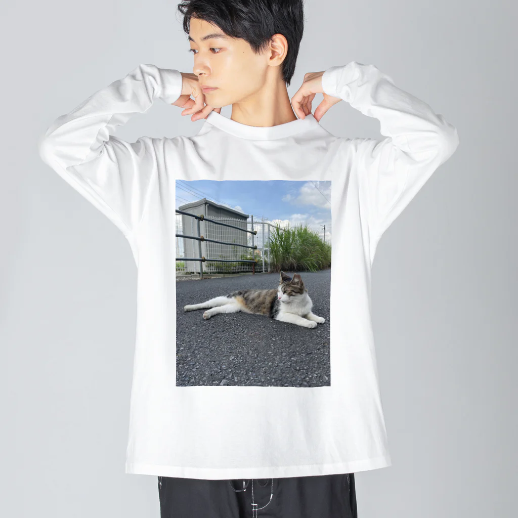 ながしっぽ from.さくらねこの家のながしっぽ　type．Ｉ Big Long Sleeve T-Shirt