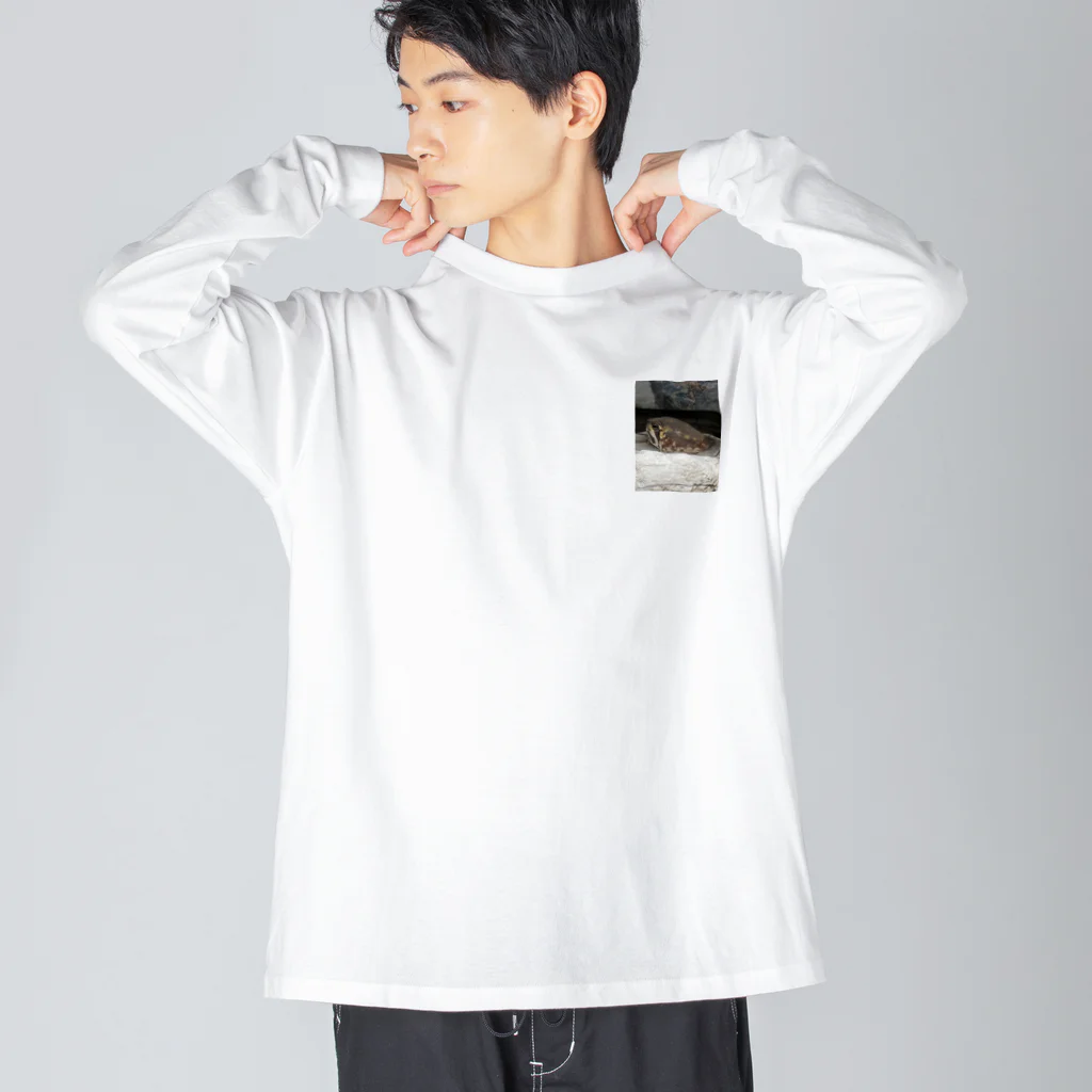 marron storeのあめふくらがえるのマロンです🌰 Big Long Sleeve T-Shirt