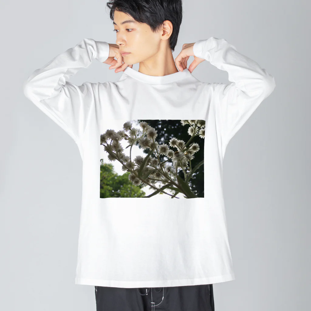 ノスタルジーテリアのflower wg Big Long Sleeve T-Shirt