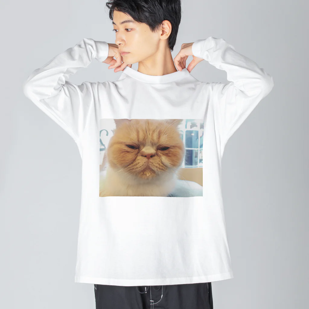 Ka-sunのぶちゃかわな猫 ビッグシルエットロングスリーブTシャツ