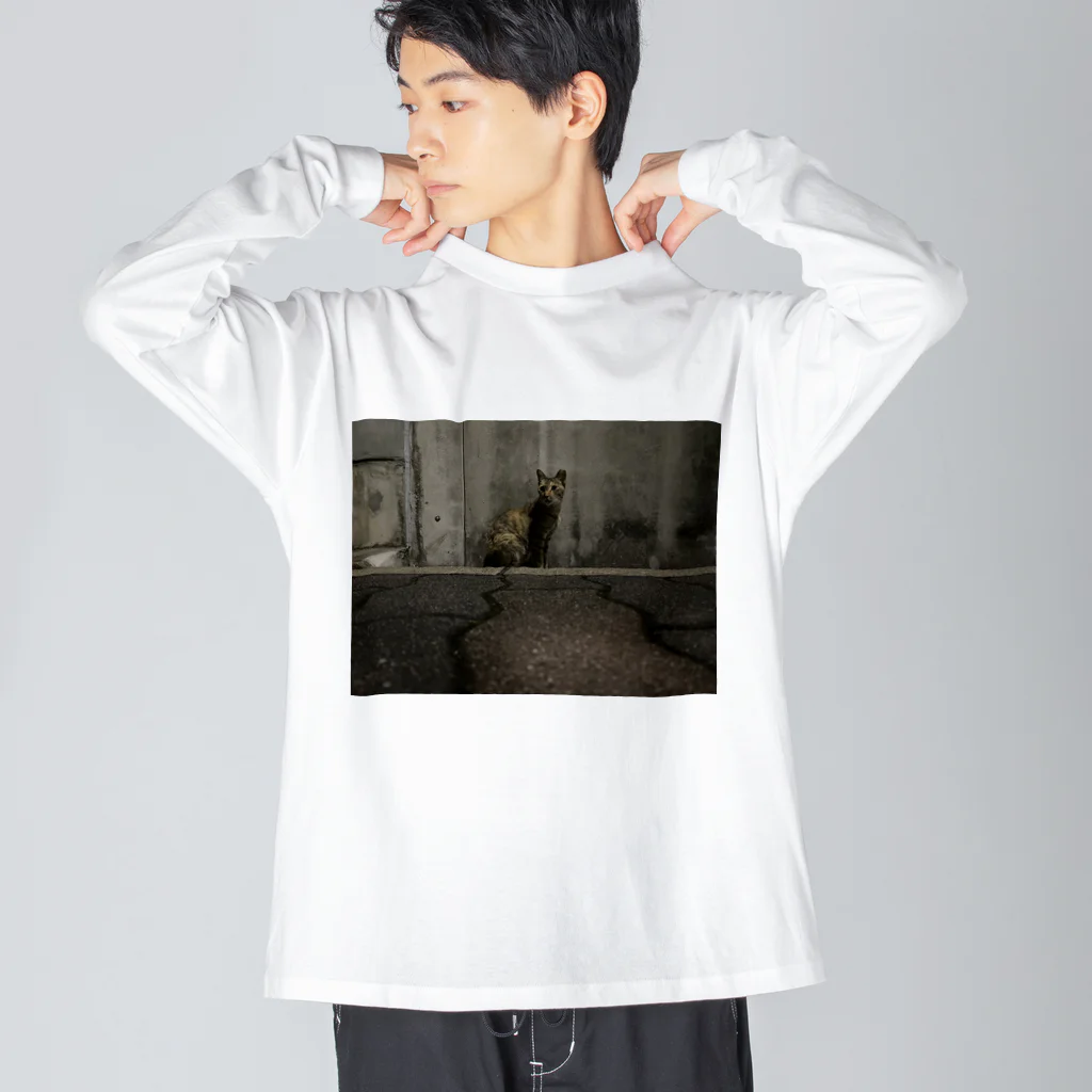 neko_00_nekoのビビり猫さん Big Long Sleeve T-Shirt