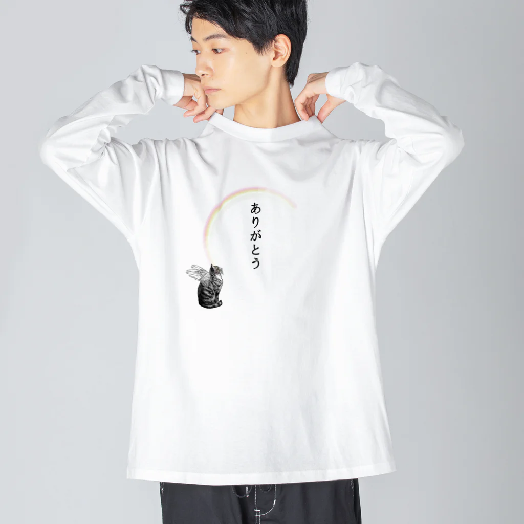 海賊猫 cocoの愛猫♱虹の橋♱ねこてんし① ペットロス Big Long Sleeve T-Shirt