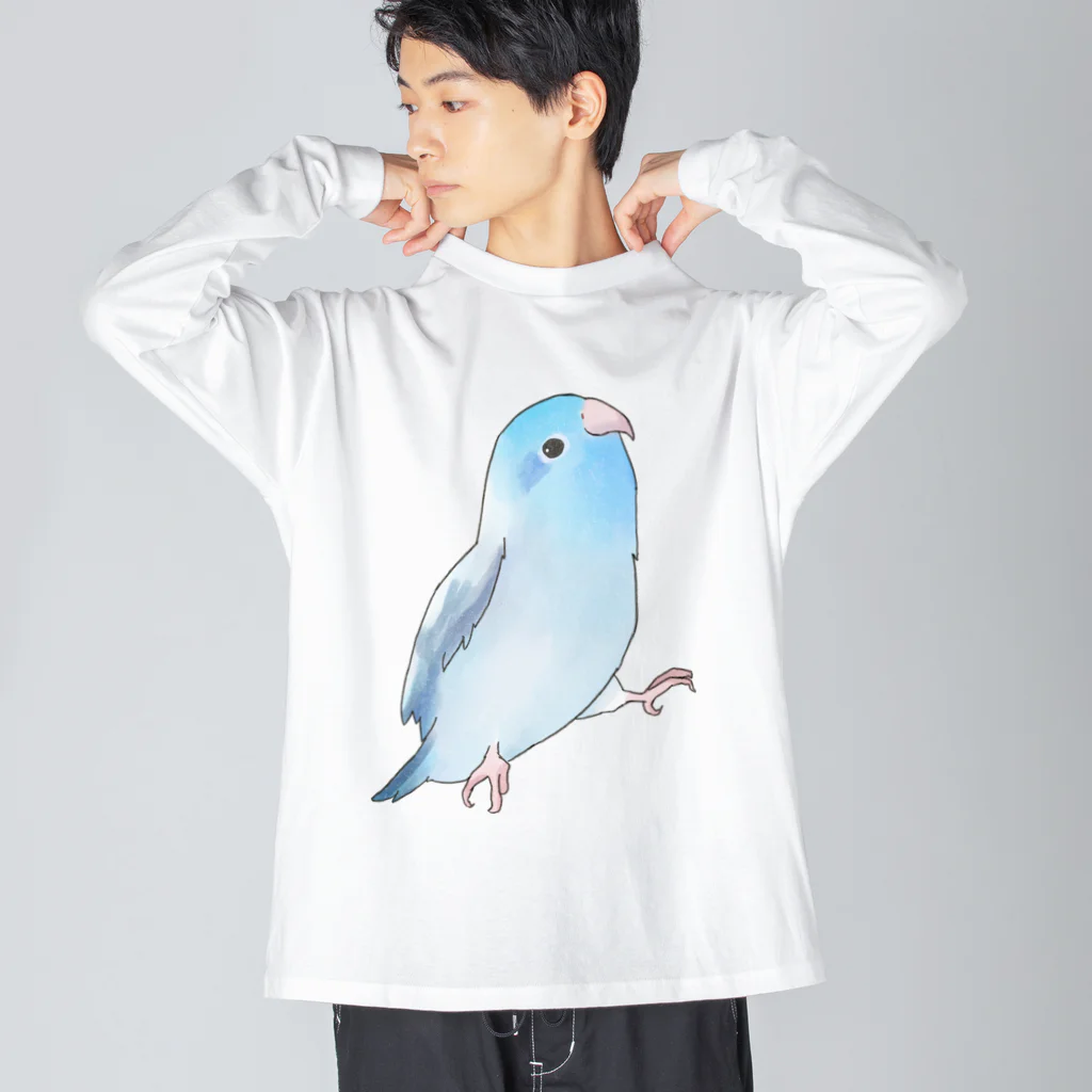 まめるりはことりのご機嫌なマメルリハのるりちゃん【まめるりはことり】 ビッグシルエットロングスリーブTシャツ