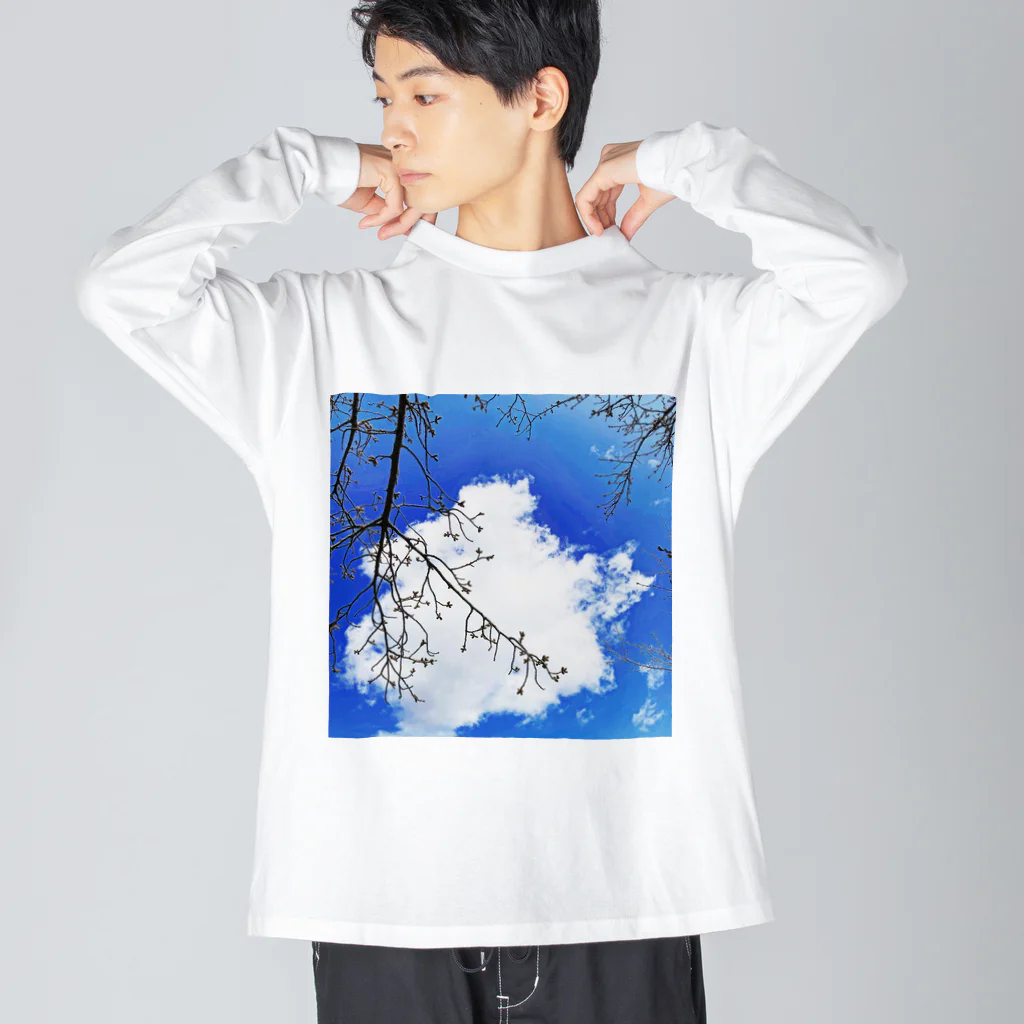 ケンタウルスの露のフォトデザイン(芽吹き) ビッグシルエットロングスリーブTシャツ