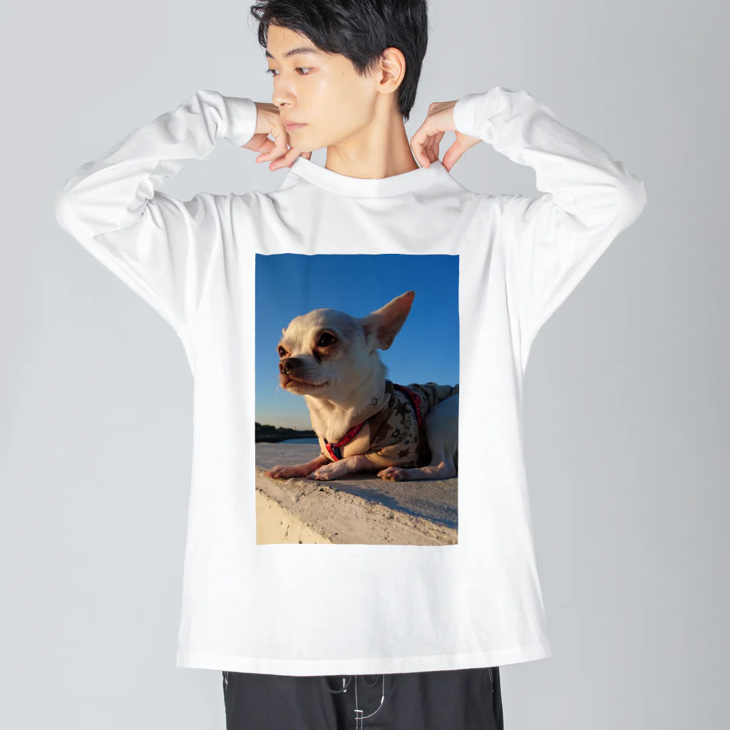 うめこずかんの海辺のうめこ１ Big Long Sleeve T-Shirt