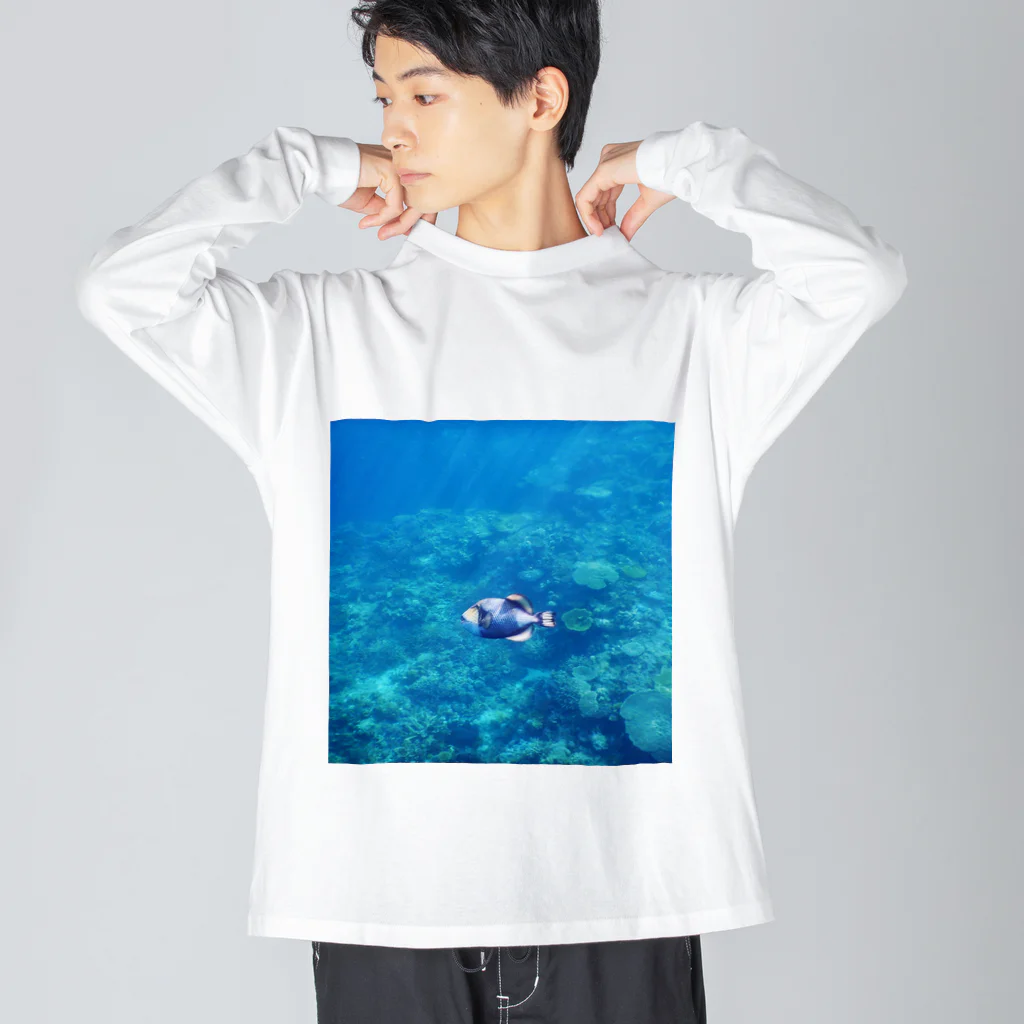海とマッチョとKINTRAYの阿嘉島のゴマモン ビッグシルエットロングスリーブTシャツ