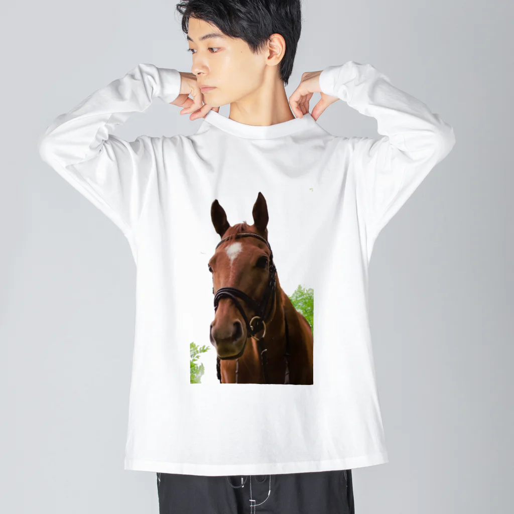 Teatime ティータイムの牧場 乗馬 馬術の馬 Big Long Sleeve T-Shirt