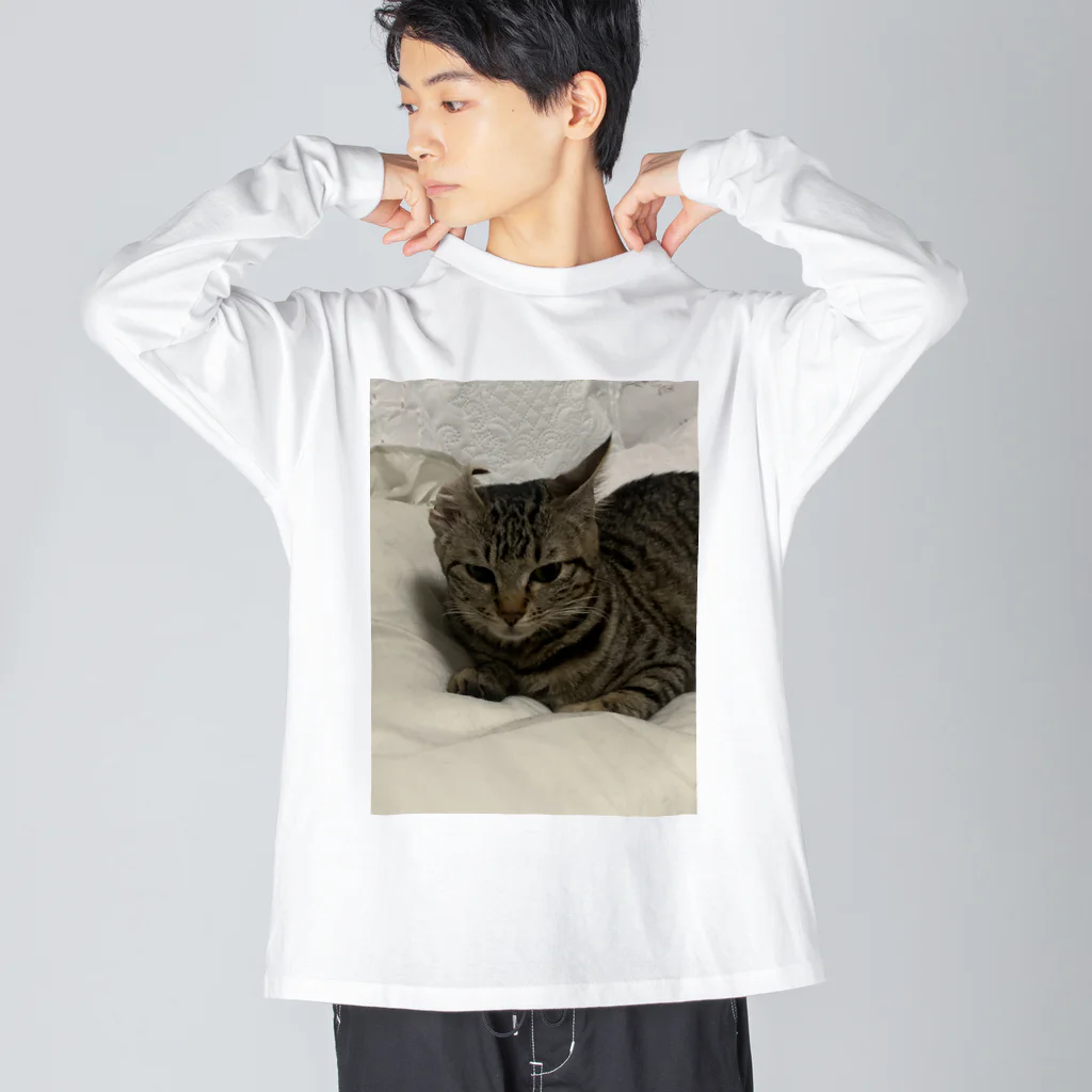 腹痛のねむぽんこ ビッグシルエットロングスリーブTシャツ