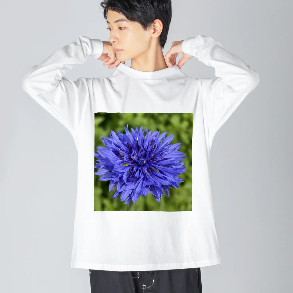 あゆのしおやきのヤグルマギク(青) Big Long Sleeve T-Shirt