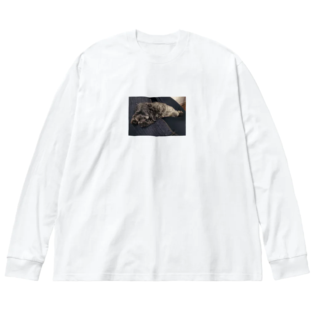 おっぽ君のダメになった犬 Big Long Sleeve T-Shirt