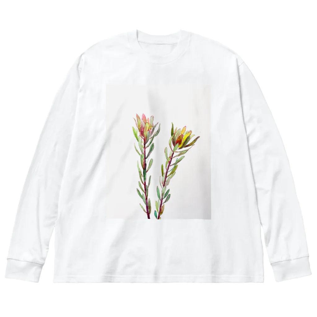 あおニャーマンの花水彩画 ビッグシルエットロングスリーブTシャツ