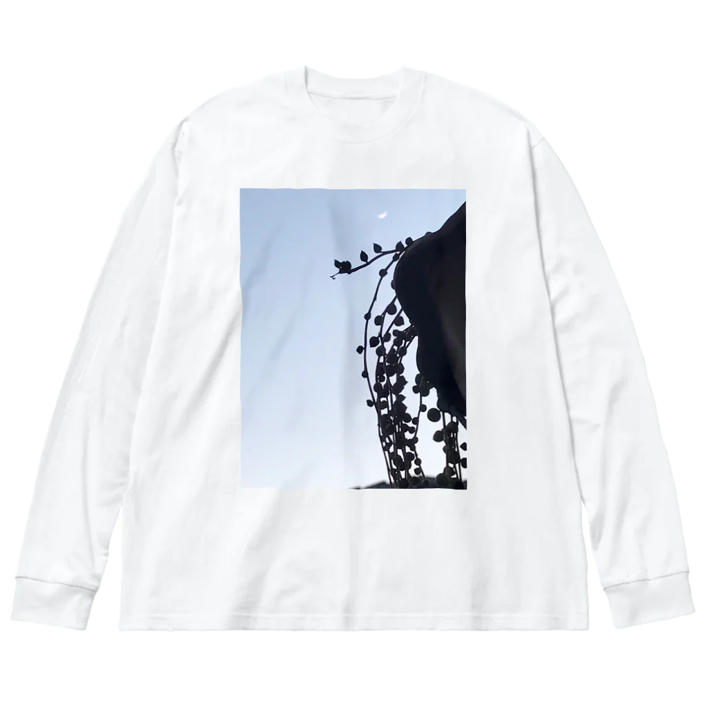 シアン猫の植物図鑑の三日月とグリーンネックレス Big Long Sleeve T-Shirt