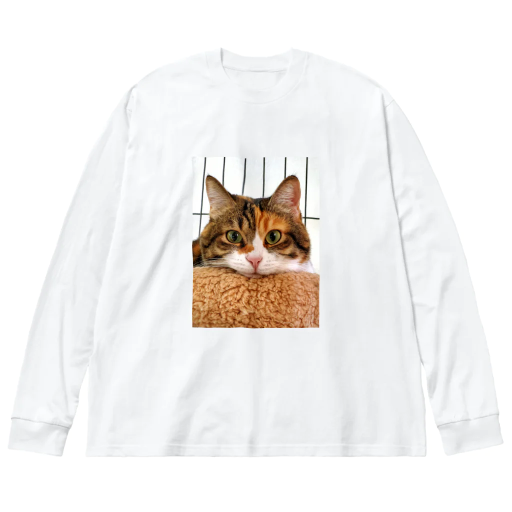 はなのははの赤鼻のはなちゃん Big Long Sleeve T-Shirt