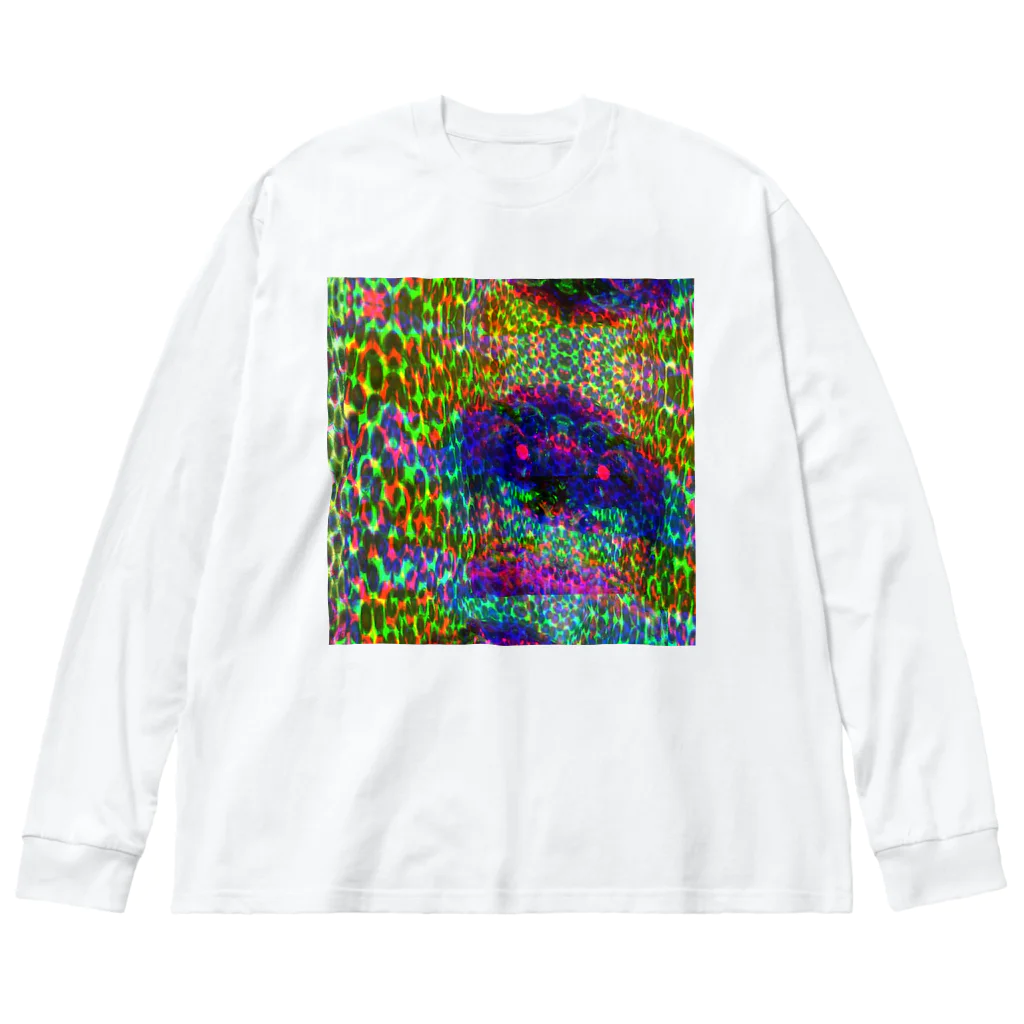 egg Artworks & the cocaine's pixの『∫αЙ†α₷₥α f4r sµ!c!de.』 ビッグシルエットロングスリーブTシャツ