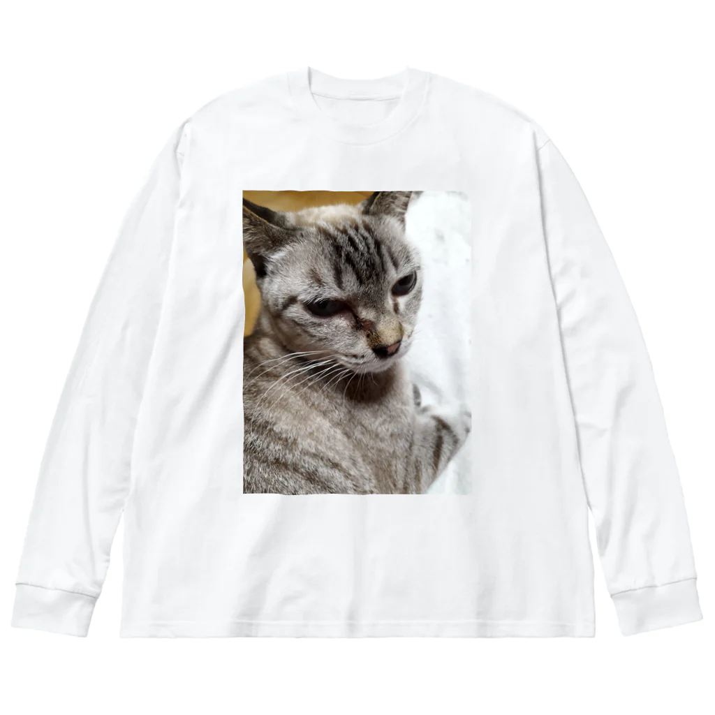 ねこの森でお散歩のさあ、モフりなさいよ。 Big Long Sleeve T-Shirt