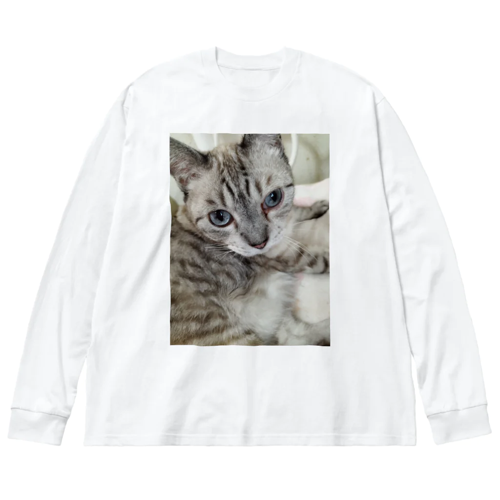 ねこの森でお散歩のフッワフワのシャムミックス Big Long Sleeve T-Shirt