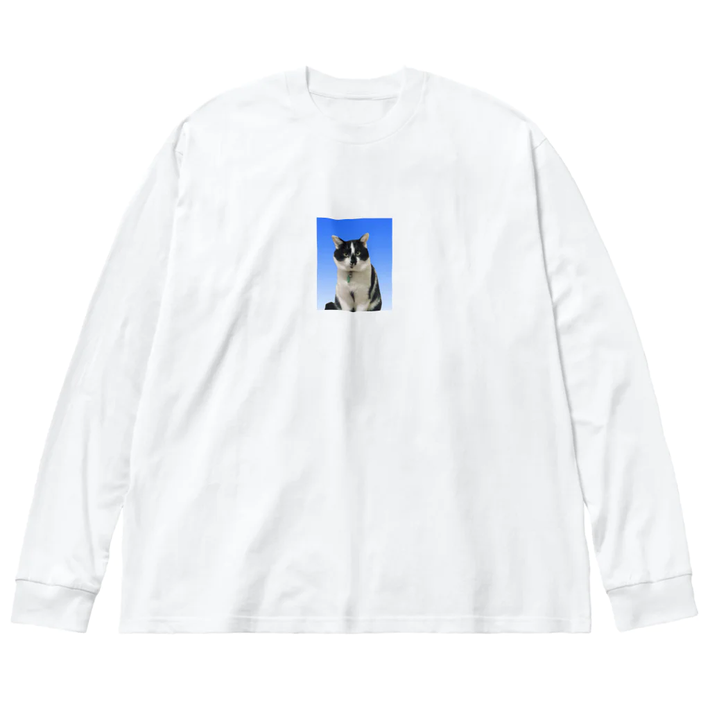 たけおの証明写真猫 ビッグシルエットロングスリーブTシャツ