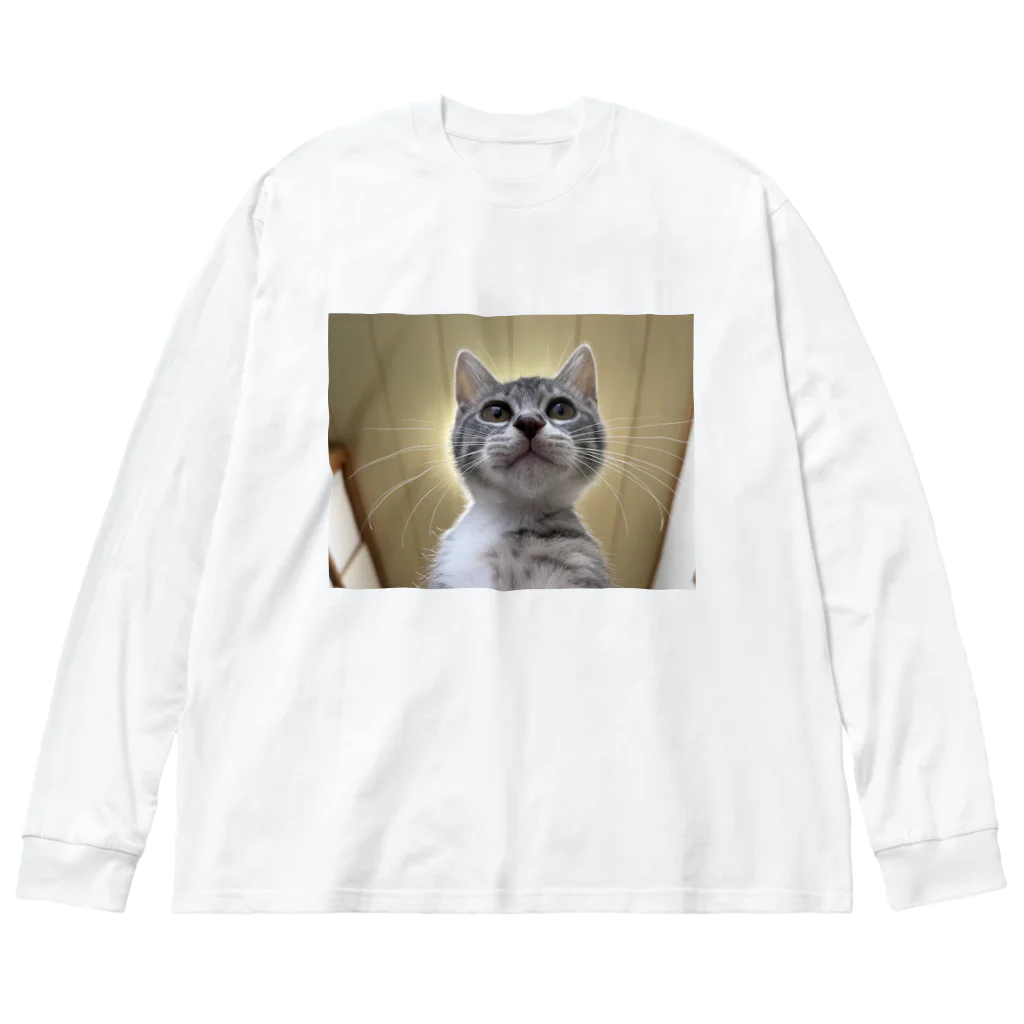 Vegeta_cat22の保護猫ベジータ　神 ビッグシルエットロングスリーブTシャツ