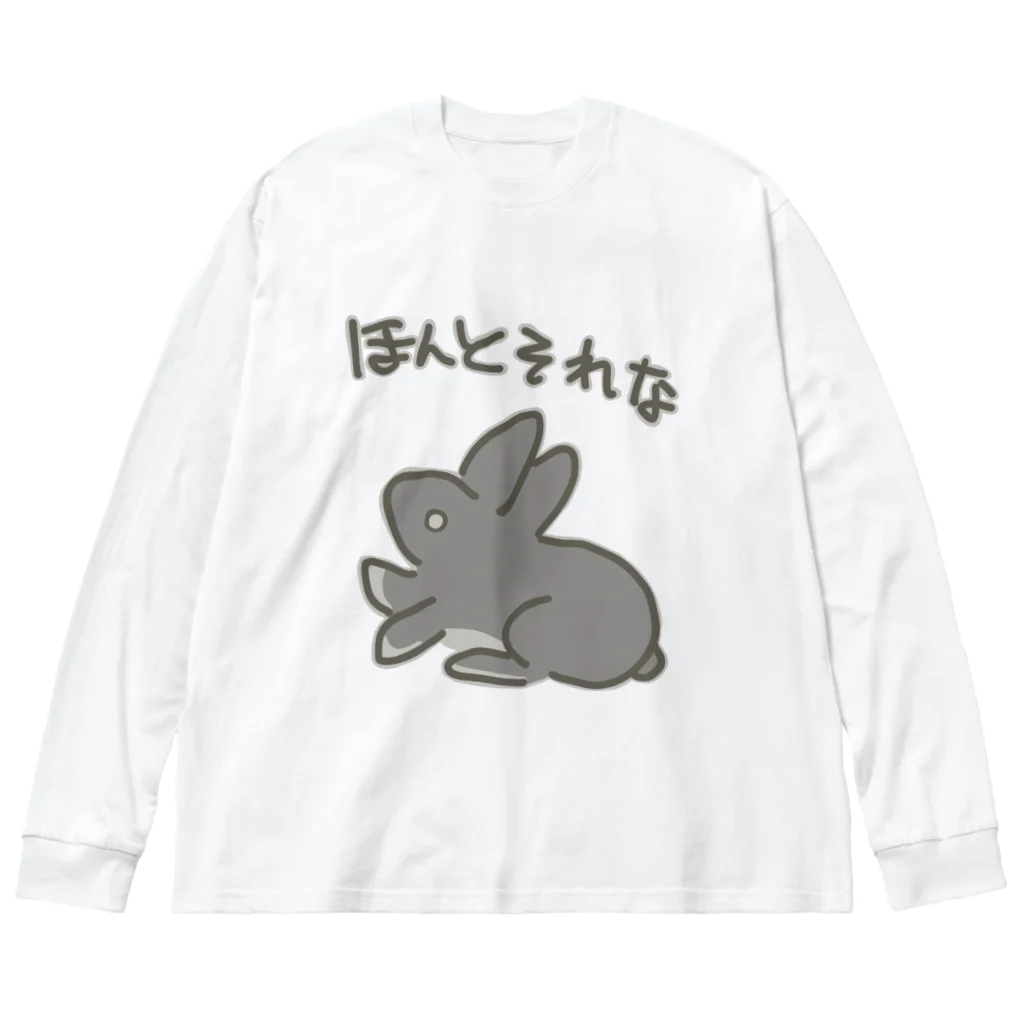 ミナミコアリクイ【のの】のほんとそれな【うさぎ】 Big Long Sleeve T-Shirt