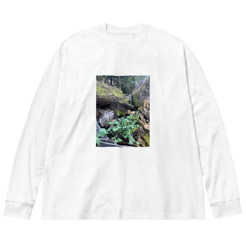 FIRE FLYの多様性の森 Big Long Sleeve T-Shirt