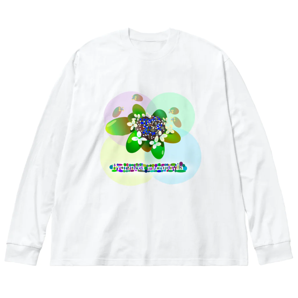 『NG （Niche・Gate）』ニッチゲート-- IN SUZURIの〇絵『額紫陽花h.t.』 ビッグシルエットロングスリーブTシャツ