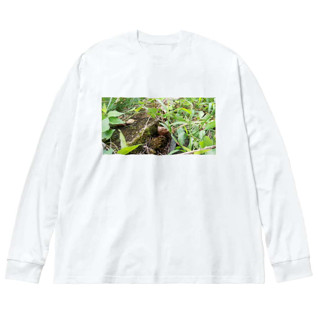 tizujonoboukenの自然豊か ビッグシルエットロングスリーブTシャツ