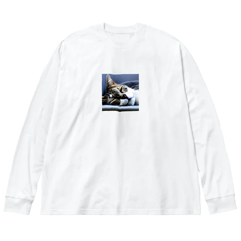 HYUGOの寝顔ドアップのキュートな猫 Big Long Sleeve T-Shirt