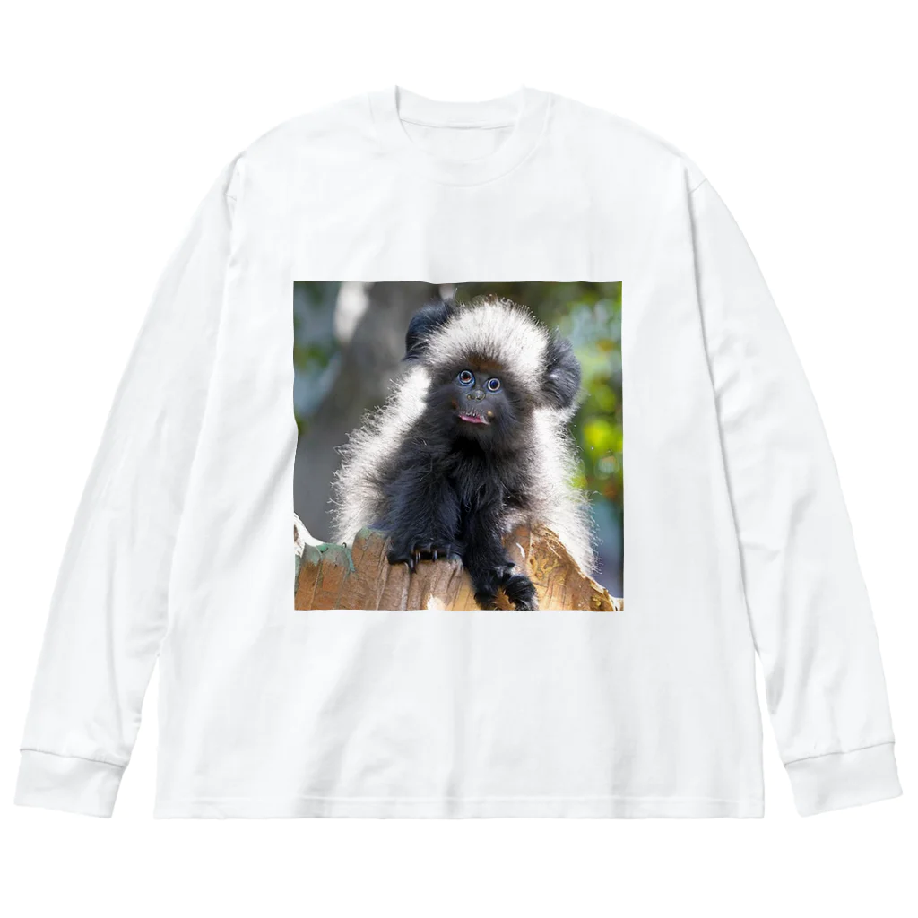 kuri_AMERICANの珍しい動物 ビッグシルエットロングスリーブTシャツ