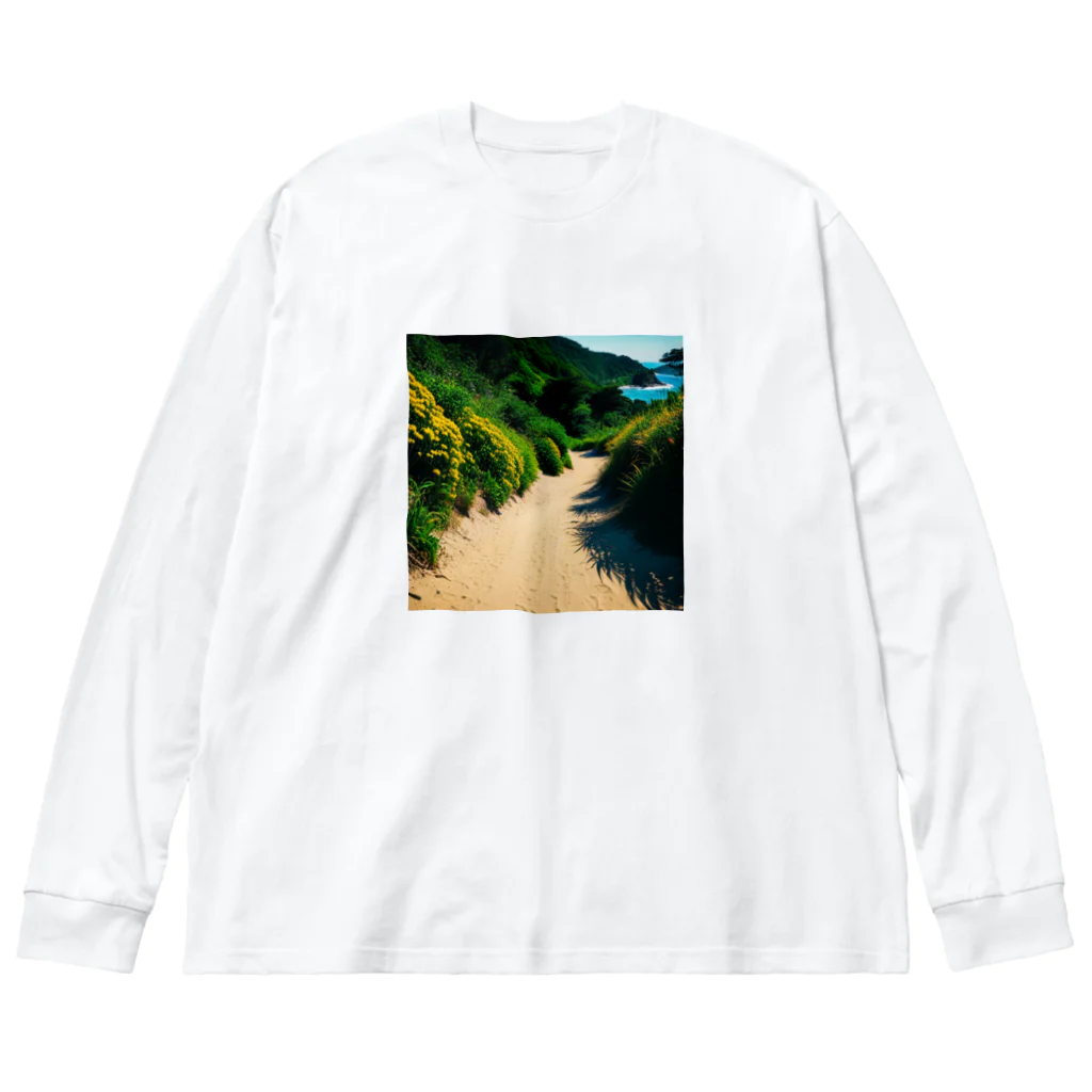 DapperMixの綺麗な道、海の楽園へグッズ Big Long Sleeve T-Shirt