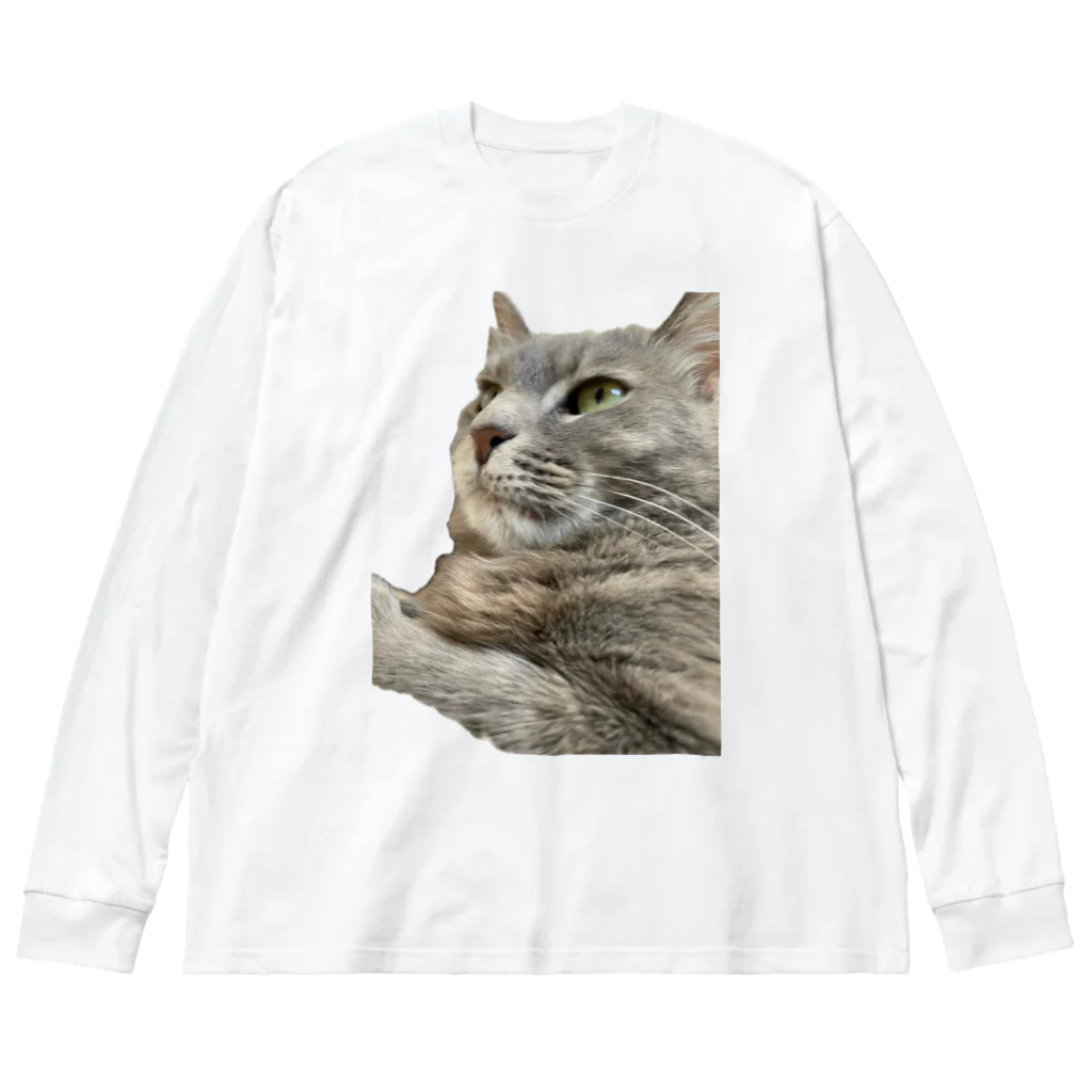 グレージュ猫ロッタン🐈‍⬛の緊張ロッタン Big Long Sleeve T-Shirt