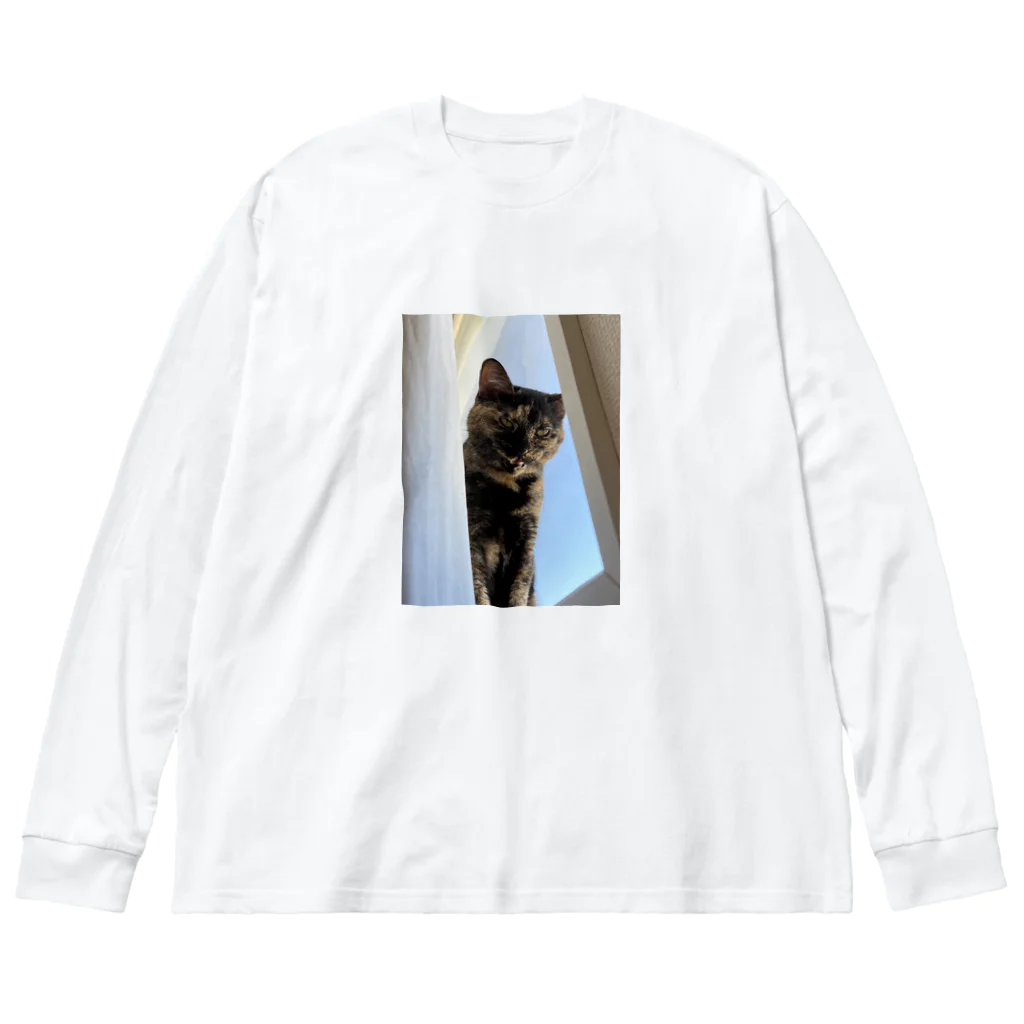 燕麦のｶﾞｵ~ｯ Big Long Sleeve T-Shirt