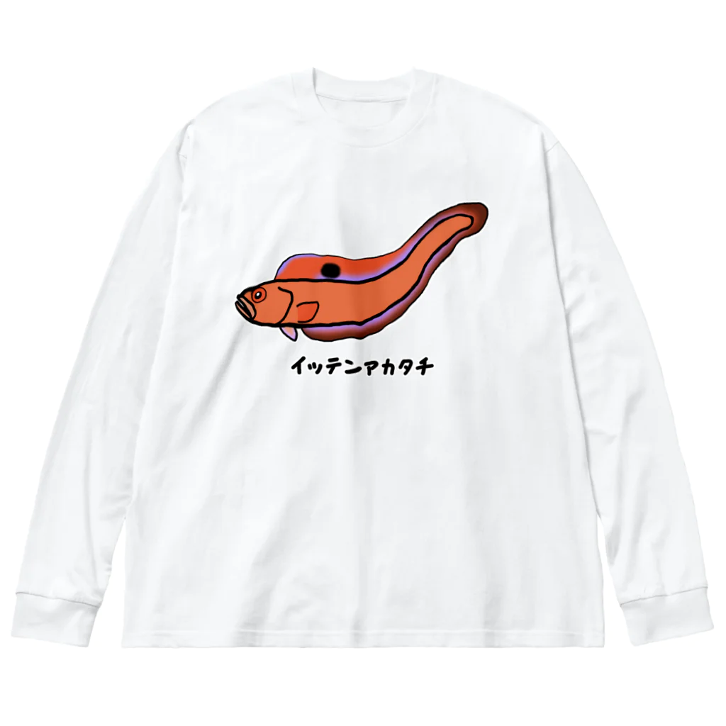 脂身通信Ｚの【魚シリーズ】イッテンアカタチ♪231103 Big Long Sleeve T-Shirt