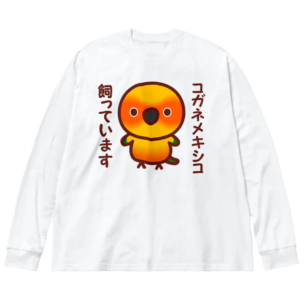 いんこ屋堂のコガネメキシコ飼っています Big Long Sleeve T-Shirt