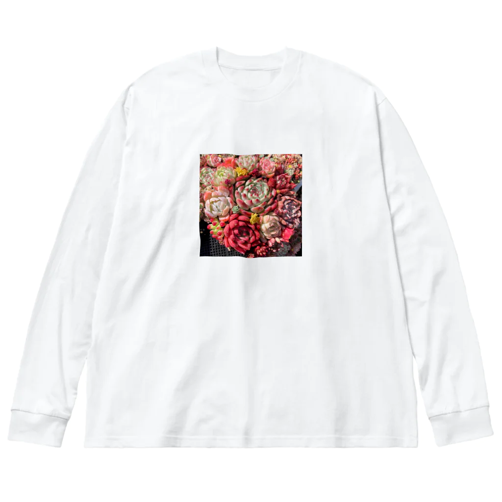 Echeveria_Masterの華やかなエケベリア Big Long Sleeve T-Shirt