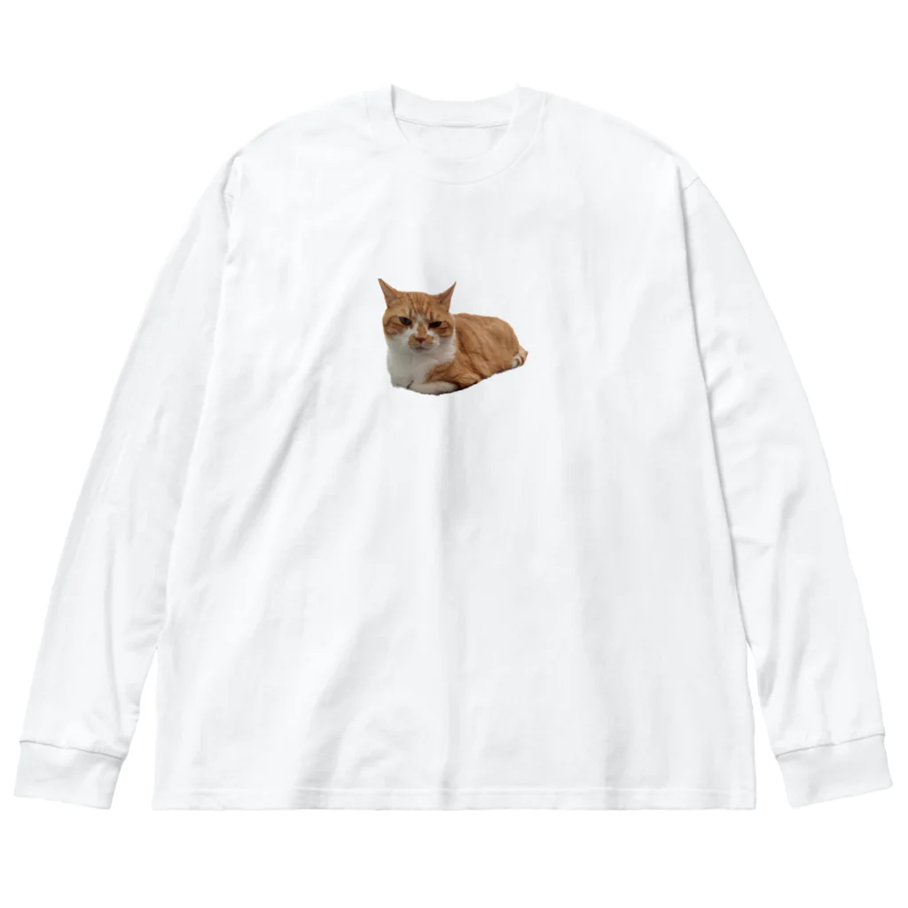 dszsdfdのこうばこねこねこ ビッグシルエットロングスリーブTシャツ