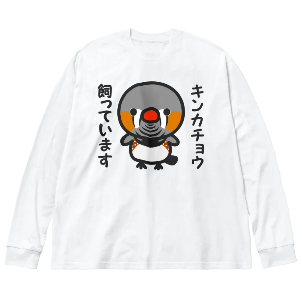 いんこ屋堂のキンカチョウ飼っています（オス） ビッグシルエットロングスリーブTシャツ