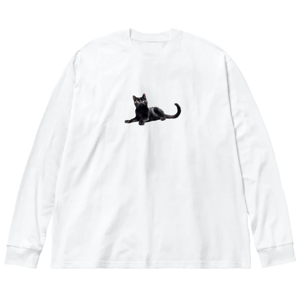 日向ぼっこの黒猫ちも ビッグシルエットロングスリーブTシャツ