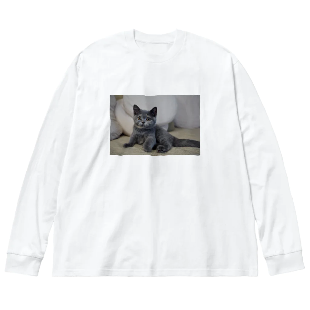 Macrovista マクロビスタのsakura2024 Big Long Sleeve T-Shirt