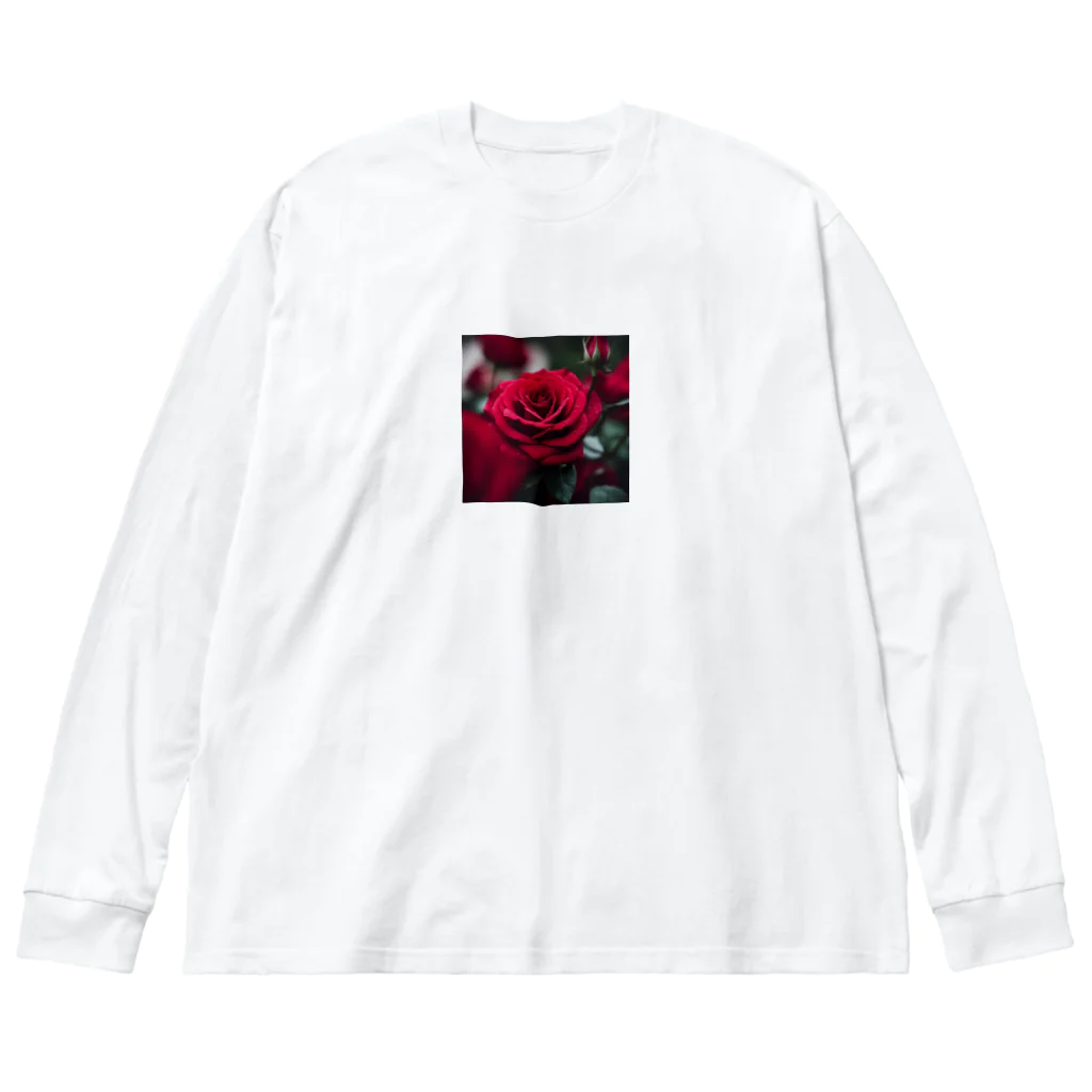 feisのバラ Big Long Sleeve T-Shirt