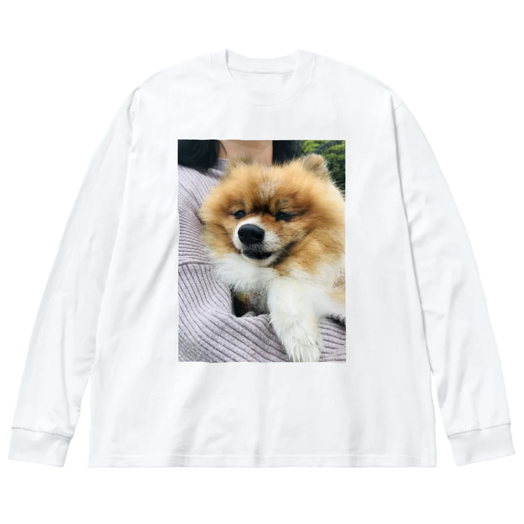 ポメラニアンのアリスくんのポメラニアンのアリスくん Big Long Sleeve T-Shirt