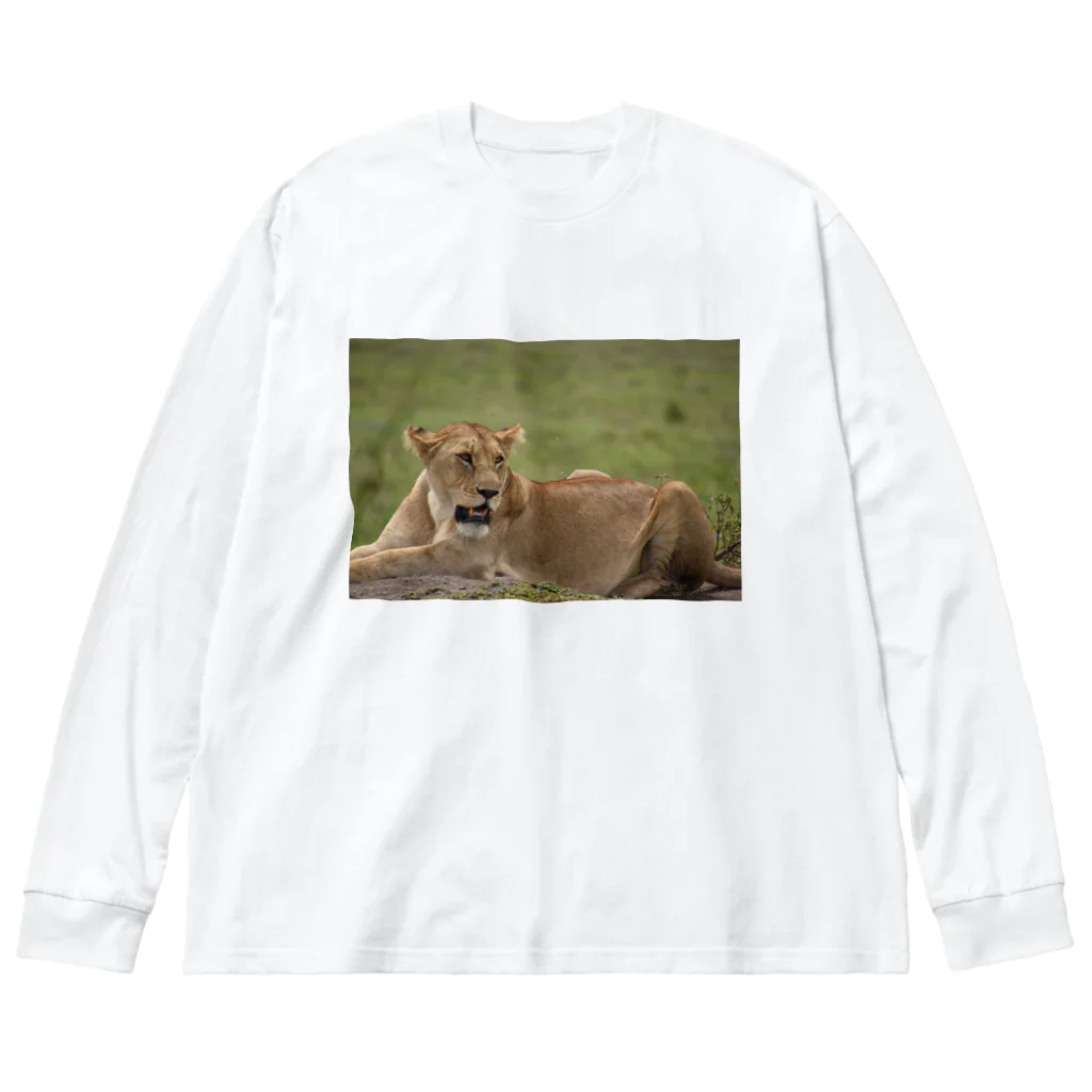 mayura_photoのサバンナのメスライオン Big Long Sleeve T-Shirt