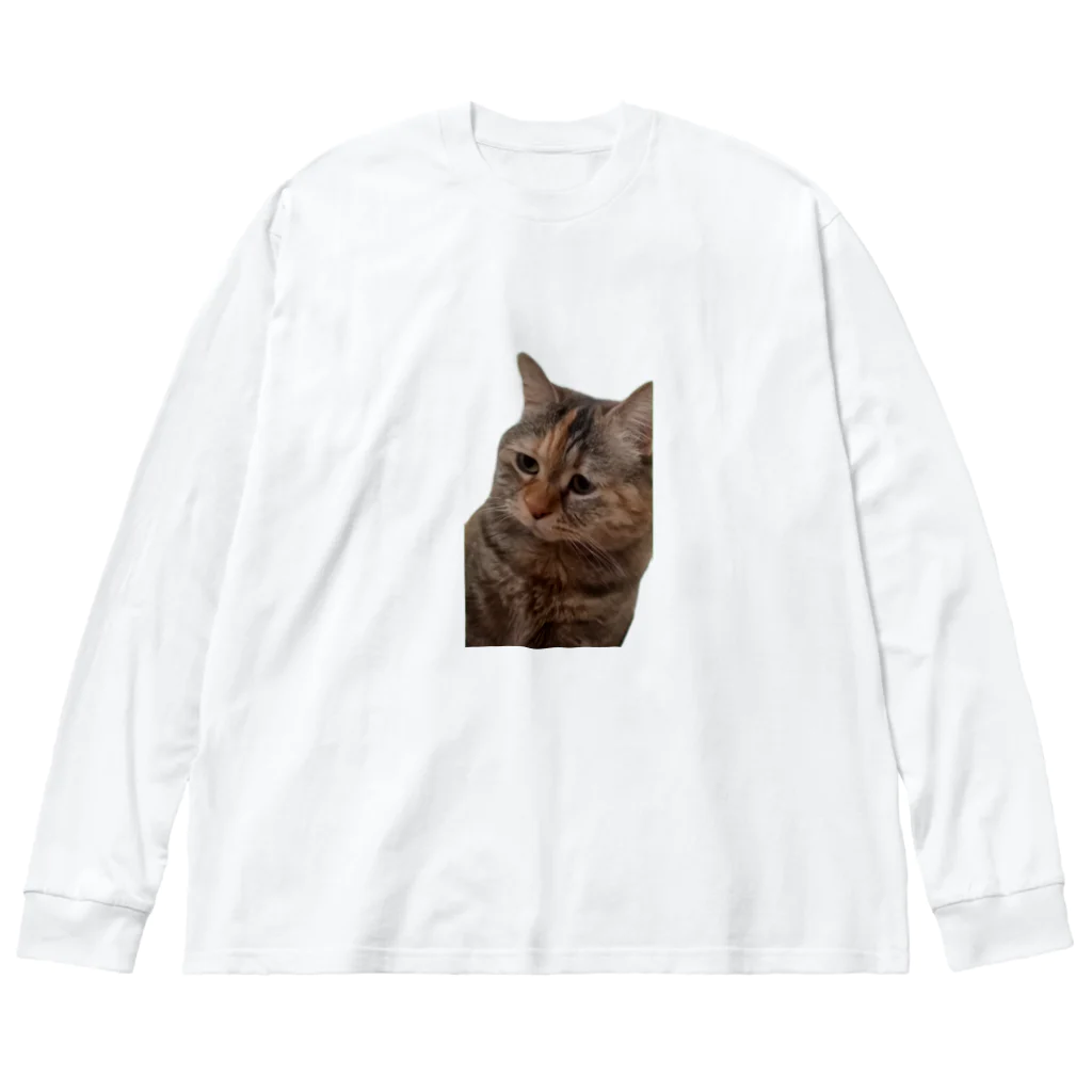 猫ミームグッズの【猫ミーム】叱られる猫 Big Long Sleeve T-Shirt