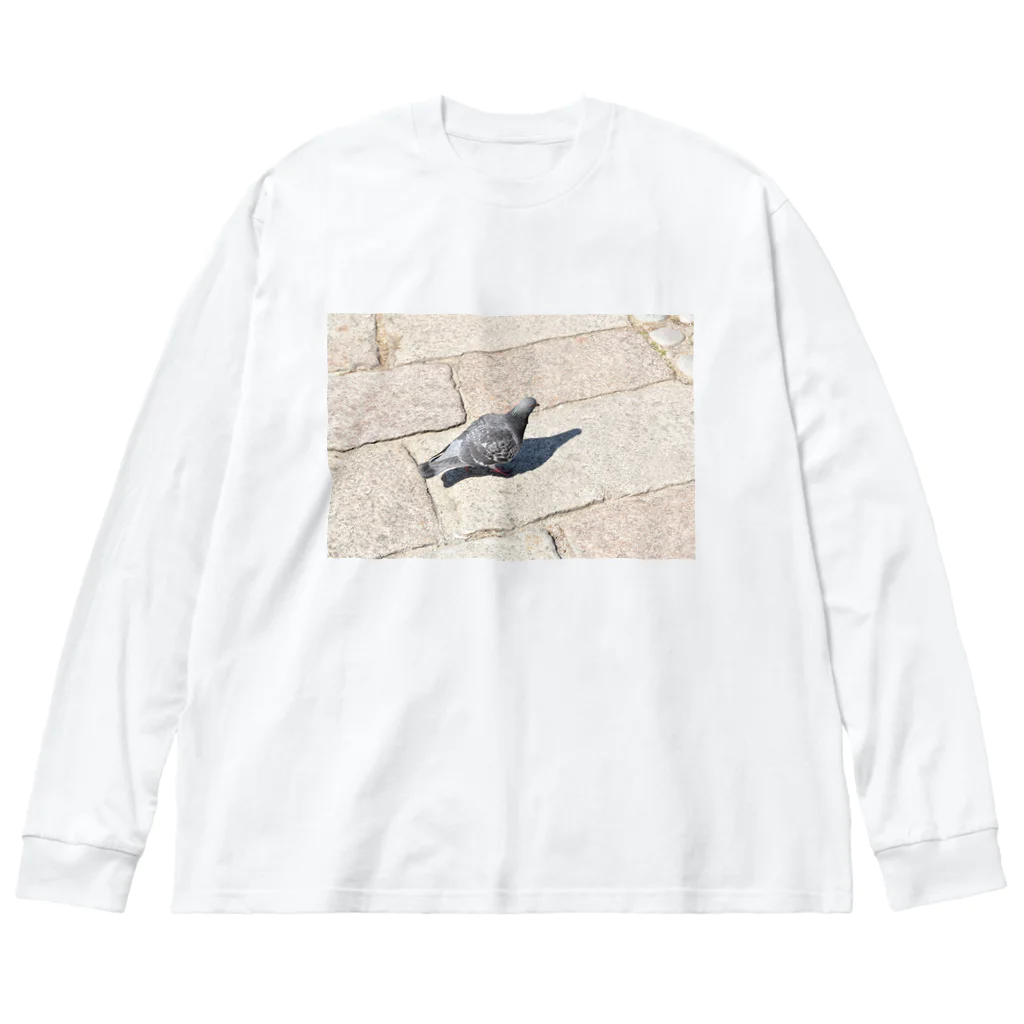 ふぉとの自分の影を見つめる鳩 ビッグシルエットロングスリーブTシャツ