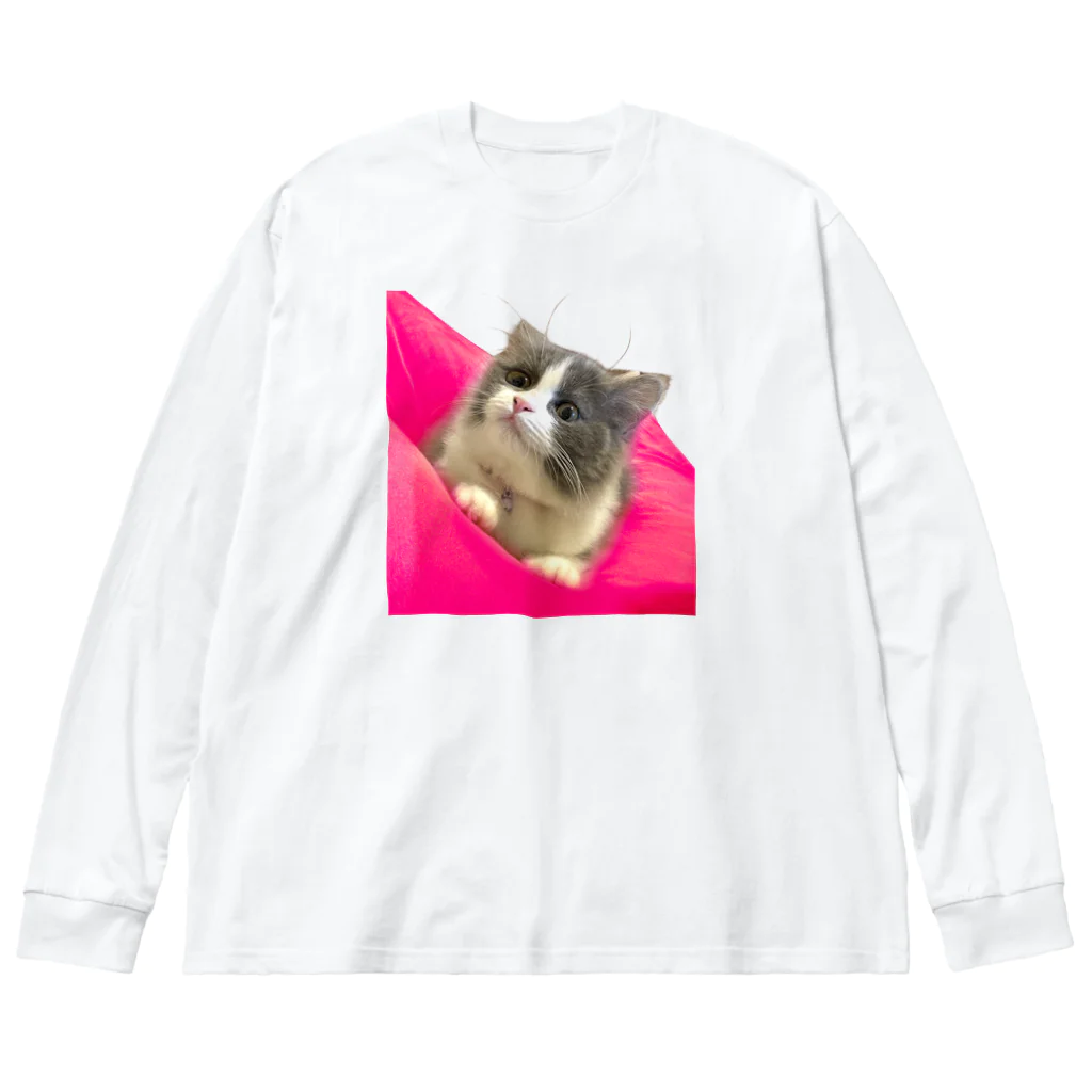 itsukiancoroのアイドルネコのアンちゃん Big Long Sleeve T-Shirt