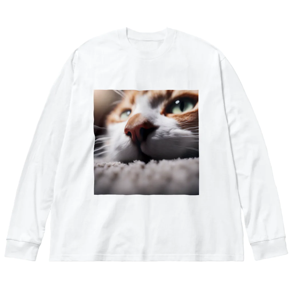 feliceのカーペットでごろんとする猫 Big Long Sleeve T-Shirt