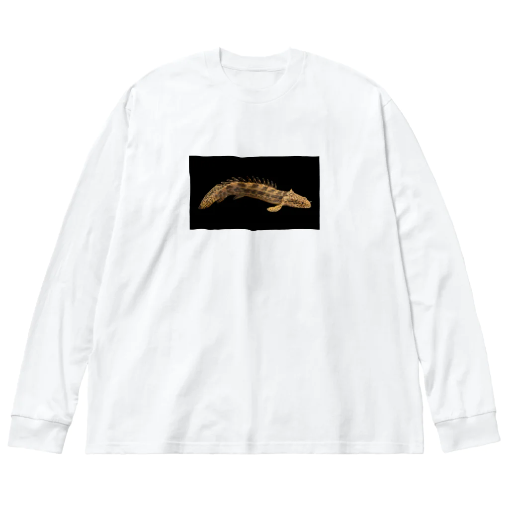 stockboxのポリプテルス グッズ Big Long Sleeve T-Shirt