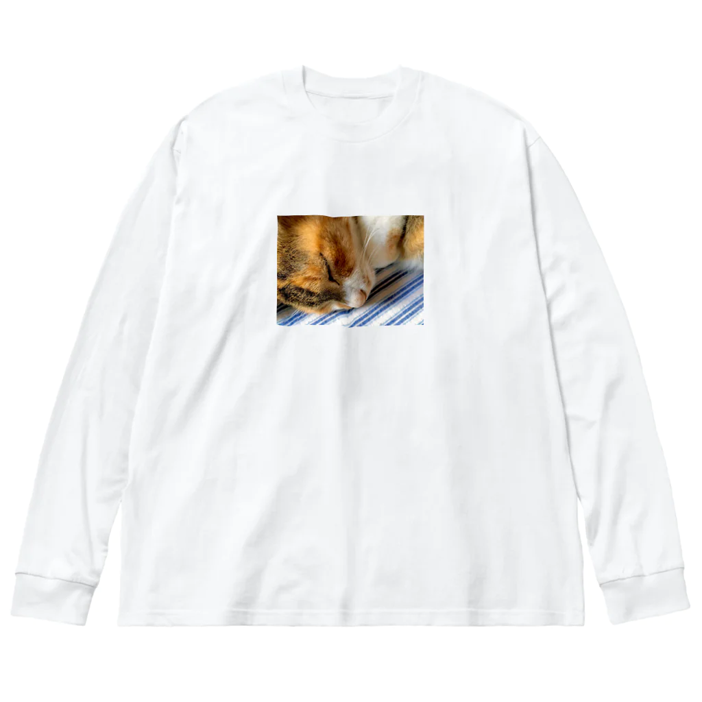 ねこちゃんが大好きなのです。の愛猫れいにゃんのグッズ Big Long Sleeve T-Shirt