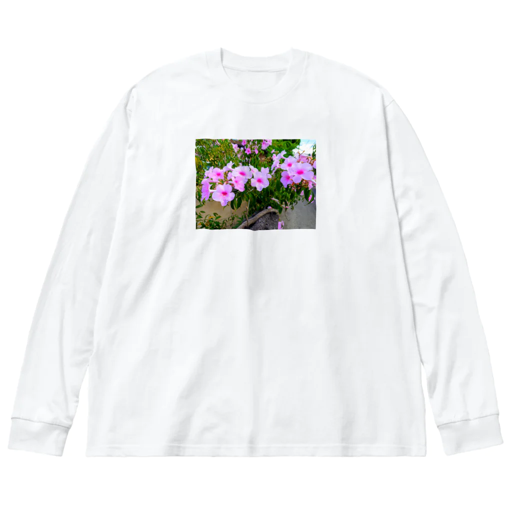 終わらない夢🌈の実写シリーズ【初夏の美しい花🌸】 Big Long Sleeve T-Shirt