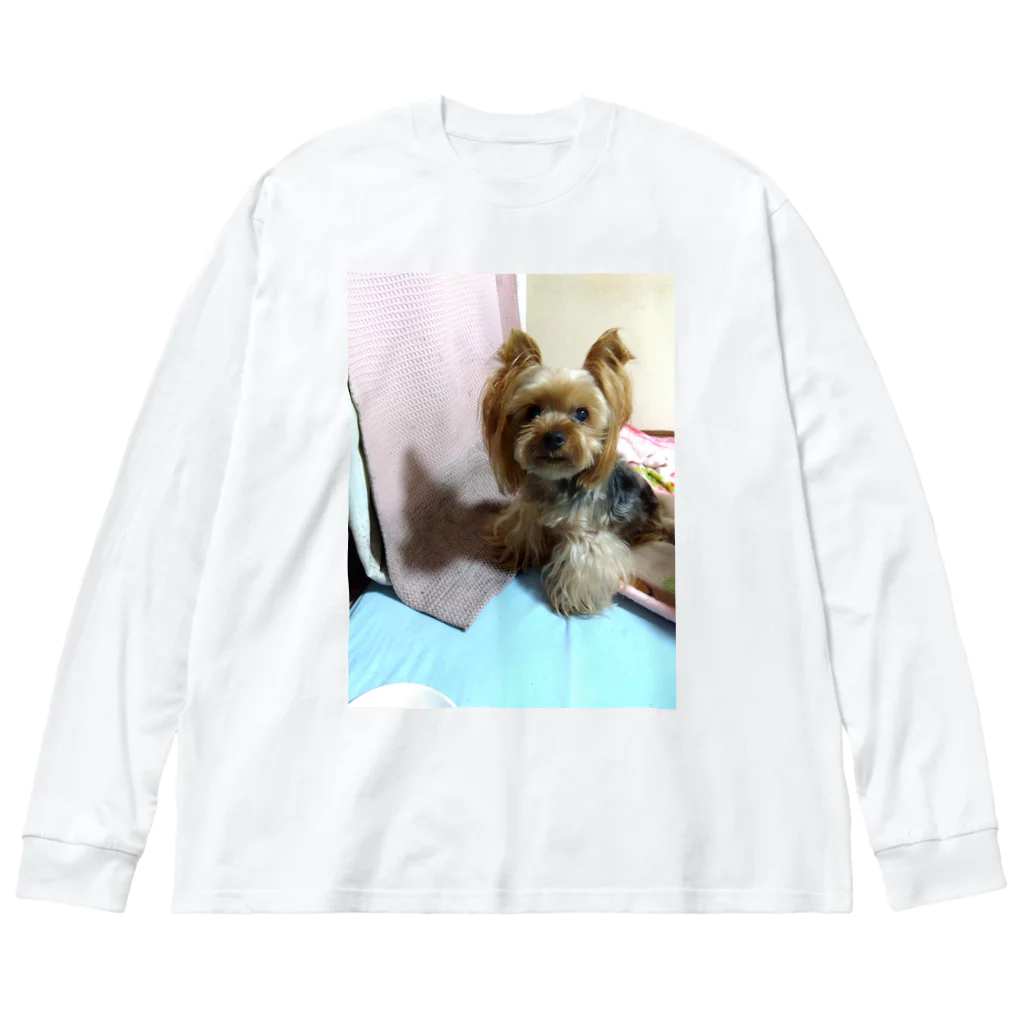 ベイビーちゃんのアレンくん Big Long Sleeve T-Shirt